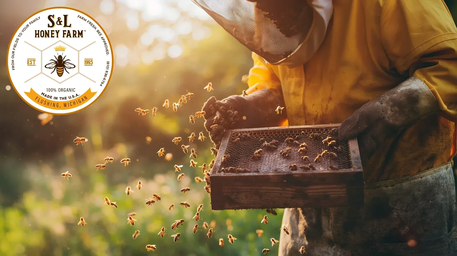 A beekeeper lifting a frame from a hive in a wildflower field