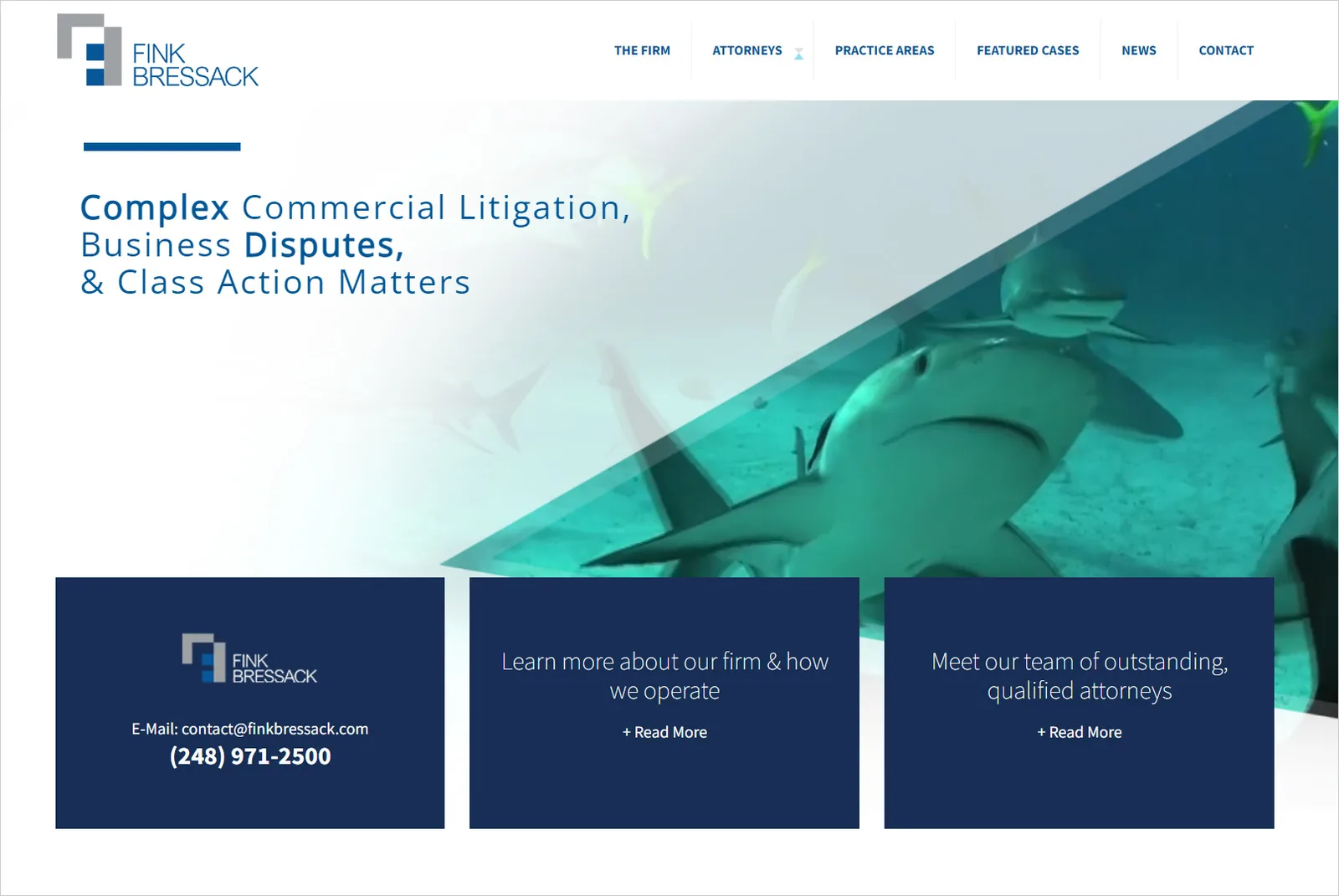 Fink Law — project image 2