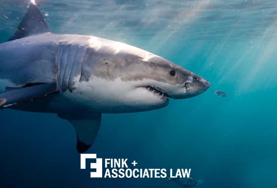 Fink Law
